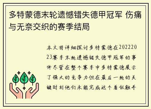 多特蒙德末轮遗憾错失德甲冠军 伤痛与无奈交织的赛季结局